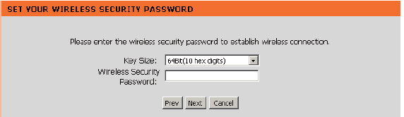 Wireless Security Password